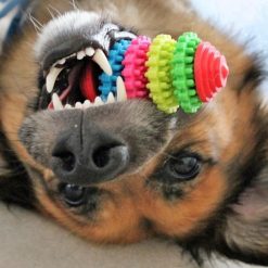 Premium Dog Teeth Cleaning Toy Stunning Pets Multicolor 3 Gears Chew toy