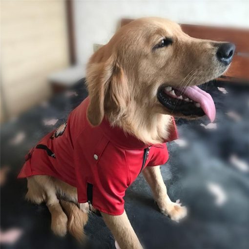 Waterproof Hardcore Style Jacket For Medium/Larger Dogs (leather) 7