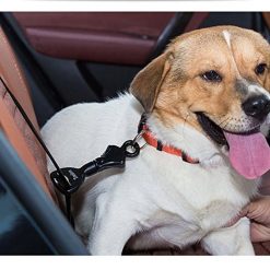 Best 2020 Dog Safety Seat Belt (durable - light weight) 10