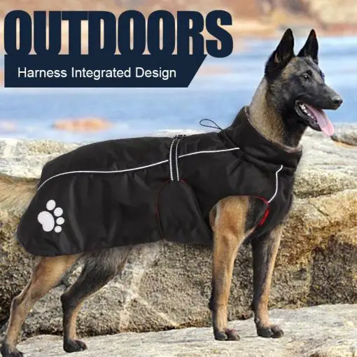 HQ Thick Winter Raincoat For medium And Larger Dog Breeds 1
