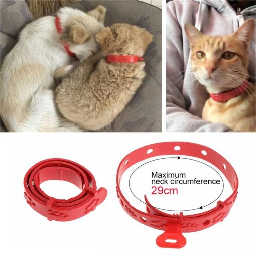 Best Adjustable Pet Collar For Outdoor Activities (anti-insects) 1