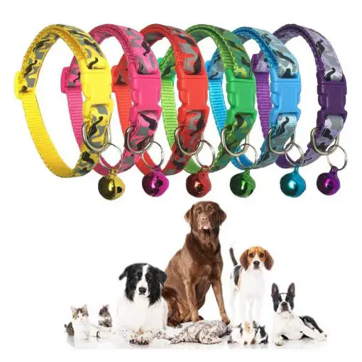Colorful & Stylish Nylon Dog Collar + Bell (soft/adjustable/multiple options) 1