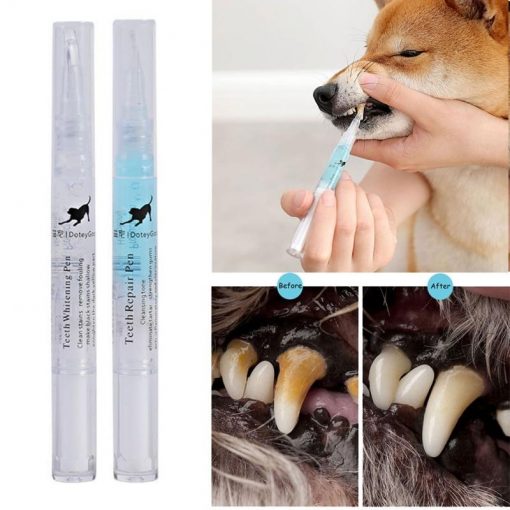 Best Teeth Cleaning Pen For Pets (tarter remover & Dental stones scarper) 1