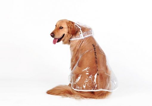 Best Waterproof Foldable Raincoat For Medium and Bigger Dogs 13