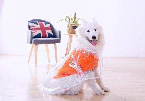 Best Waterproof Foldable Raincoat For Medium and Bigger Dogs 6