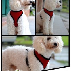 Colorful Breathable Dog Harness - Made of Durable & Soft Nylon 19