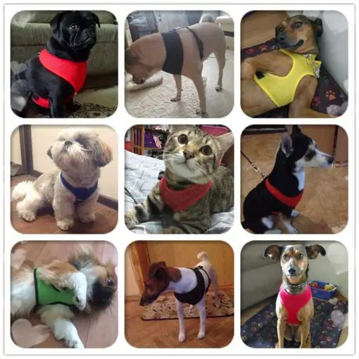 Colorful Breathable Dog Harness - Made of Durable & Soft Nylon 10