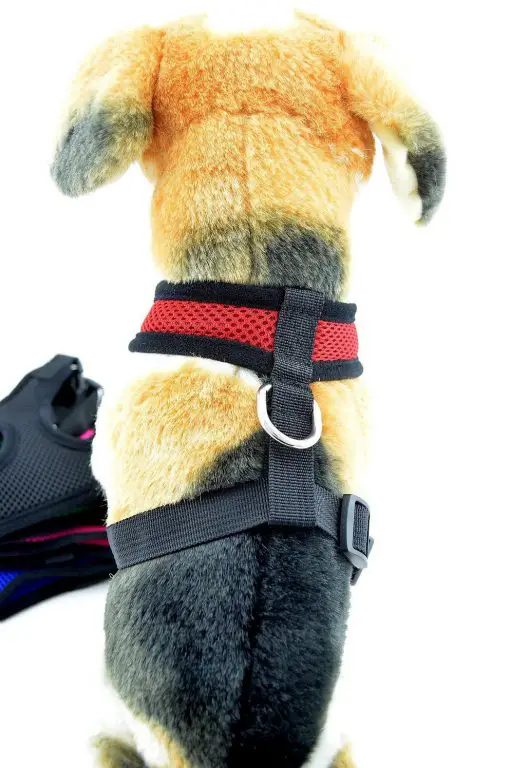 Colorful Breathable Dog Harness - Made of Durable & Soft Nylon 9