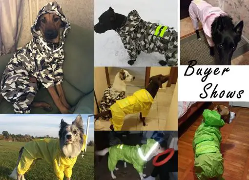 Best Waterproof Raincoat For Dogs - 4 color options 10