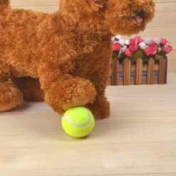 HQ Chew Tennis Ball For Dog - Perfect For Outdoors Activities 10
