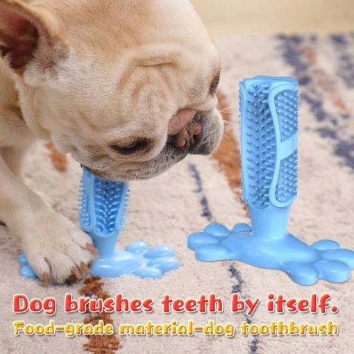2020 Best Dog Chew Toy & Toothbrush for Dogs (2 in 1) 7