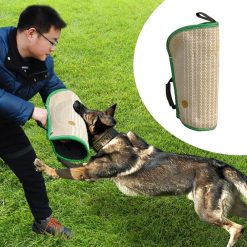 2020 Best Dog Training Kit (All you need in one place) 40