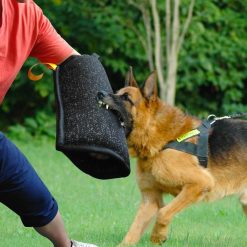2020 Best Dog Training Kit (All you need in one place) 48