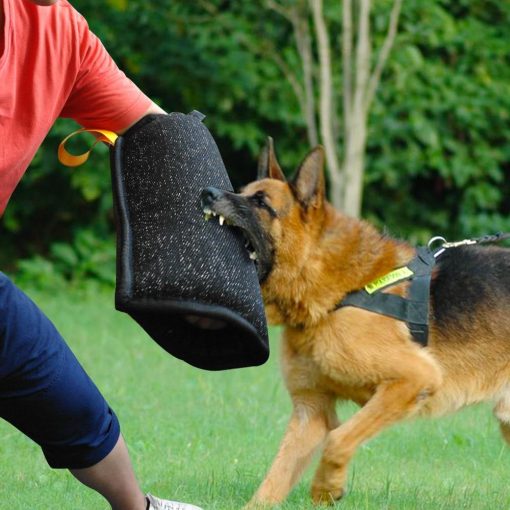 2020 Best Dog Training Kit (All you need in one place) 23