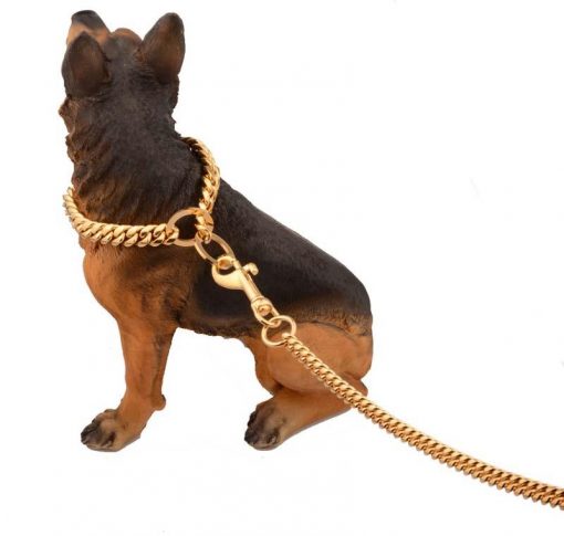 Heavy Duty Luxury Golden Color Dog Leash (medium & large dogs) 4