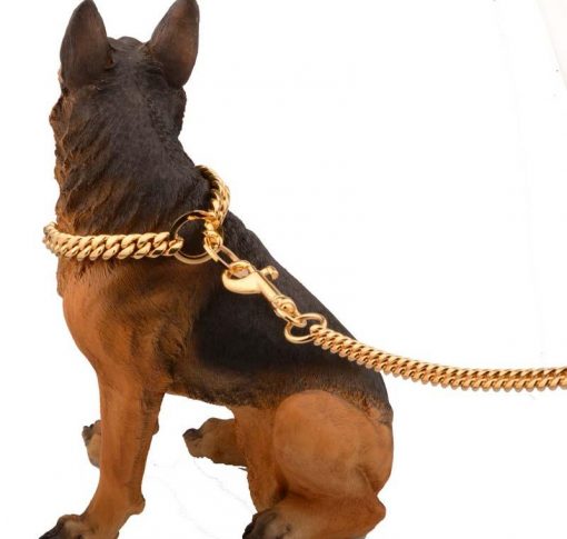 Heavy Duty Luxury Golden Color Dog Leash (medium & large dogs) 1