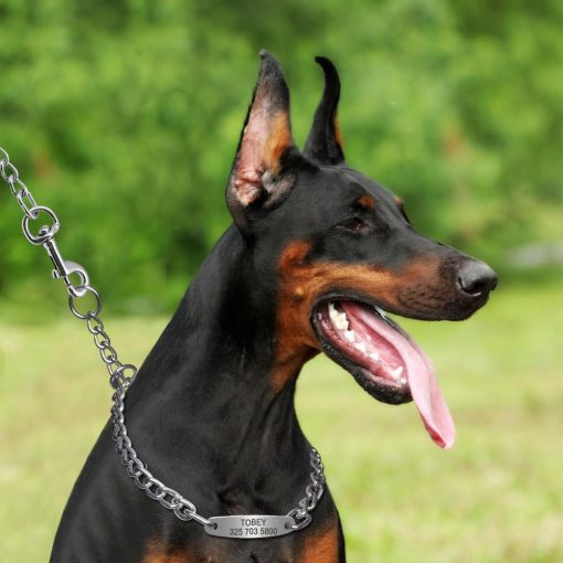 Easy Adjustable Dog Collar and Training Choker Medium and Bigger Dogs 7
