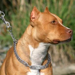 Easy Adjustable Dog Collar and Training Choker Medium and Bigger Dogs 13