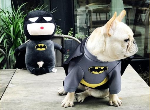 Best HQ Super Heroes Cosplay For Dogs (several sizes & Cosplay) 1