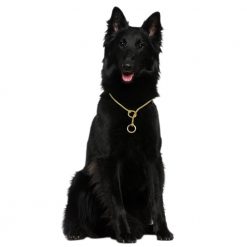 Best Heavy Duty Luxury Dog Collar (2 colors / 3 Sizes) 18