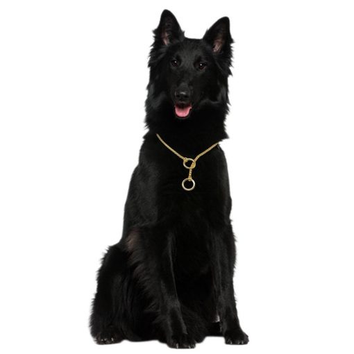 Best Heavy Duty Luxury Dog Collar (2 colors / 3 Sizes) 7