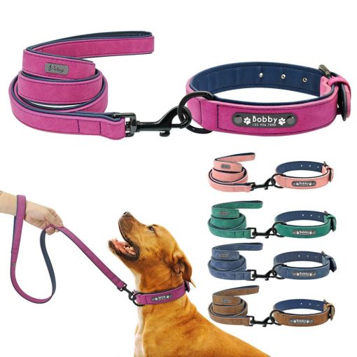 Best 2020 Dog Leash + Collar + ID Pad Kit - All Dog Sizes 4