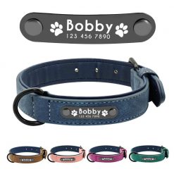 Best 2020 Dog Leash + Collar + ID Pad Kit - All Dog Sizes 30
