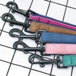 Best 2020 Dog Leash + Collar + ID Pad Kit - All Dog Sizes 27