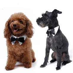 Bow Tie For Pets