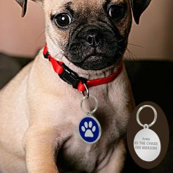 Easily To Customize Dog Collar Tag - Strong Stainless Steel 18