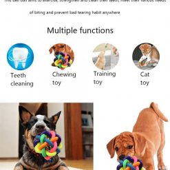 Soft & Durable Pet Chew Toy (2 pcs/rainbow colors/bouncy rubber) 11