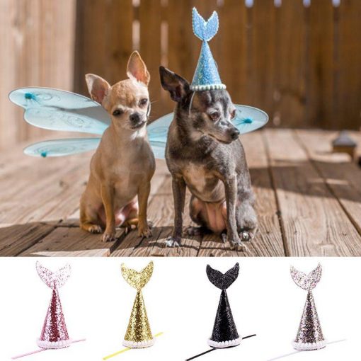 Very Cute Dog Cap - Fish Tail Shape (multiple color options) 3