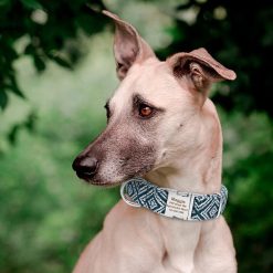 Easy ID personalized Nylon Dog Collar - Large and Soft Collar 16