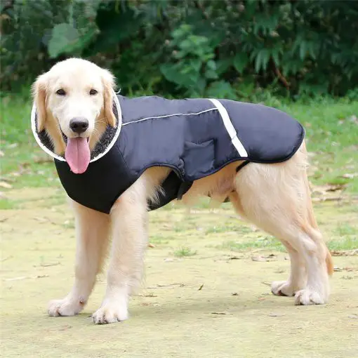 HQ Thick Waterproof Raincoat & Jacket For Medium/Large Dogs 14