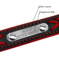 Easy Editable Leather Dog Collar - Wide ID Pad 17
