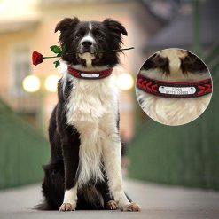 Easy Editable Leather Dog Collar - Wide ID Pad 22