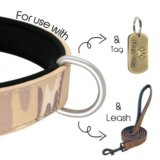 Easy Adjustable Camouflage Dog Collar - HQ Leather (4 size options) 3