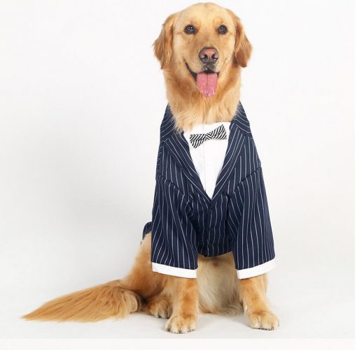 Classic Suit Costume For Medium & Larger Dogs (5 sizes) 6