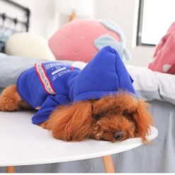 HQ Stylish Blue Winter Jacket For Small and Medium Dogs 13