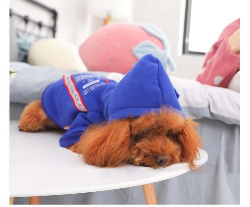 HQ Stylish Blue Winter Jacket For Small and Medium Dogs 7