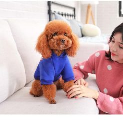HQ Stylish Blue Winter Jacket For Small and Medium Dogs 8