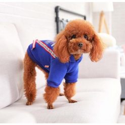 HQ Stylish Blue Winter Jacket For Small and Medium Dogs 11