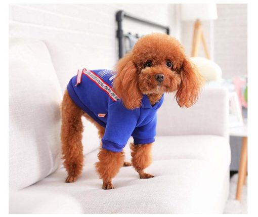 HQ Stylish Blue Winter Jacket For Small and Medium Dogs 5