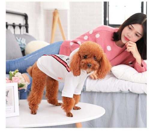 HQ Stylish White Winter Jacket For Medium and Bigger Dogs 1
