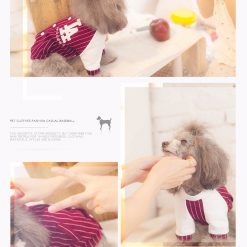 Classy & Fashionable Baseball Summer Costume For Dogs 12