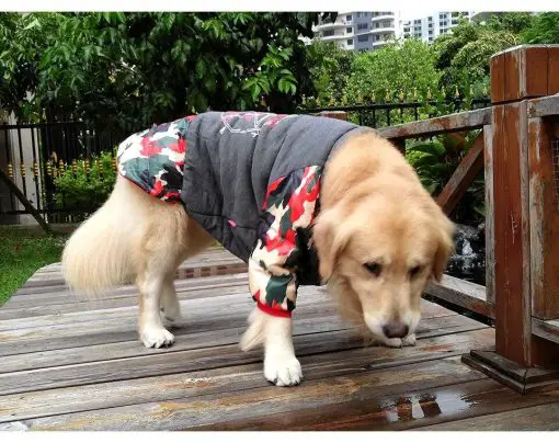 Durable Thick Jacket For Dogs - For Male/Female Medium/Larger Dogs 11