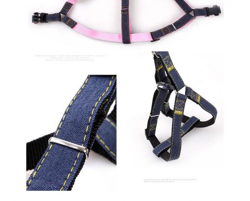 High Quality Jeans Dog Collar And Leash (multiple options) 5