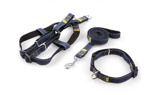 High Quality Jeans Dog Collar And Leash (multiple options) 14