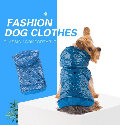 Best Thick Winter Coats For Medium and Small Dogs (6 pcs) 6