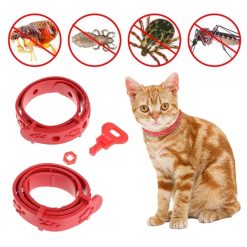 Best Adjustable Pet Collar For Outdoor Activities (anti-insects) 12
